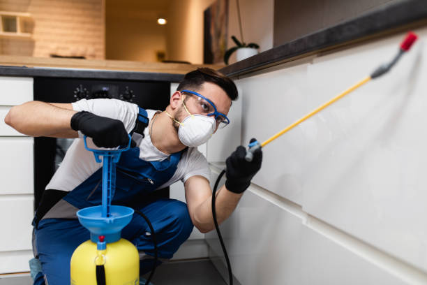 Reliable Moscow Mills, MO Pest Control Solutions