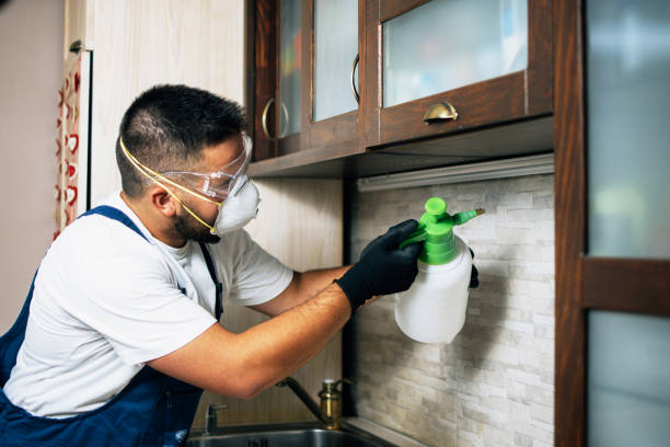 Best Insect Control  in Scow Mills, MO