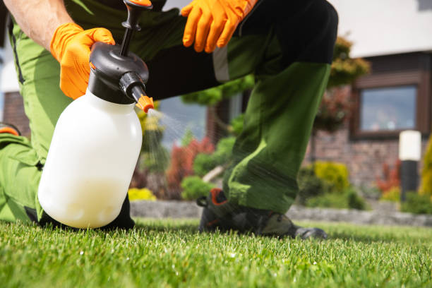 Best Pest Removal Services  in Scow Mills, MO