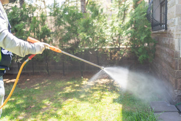 Spider Control Near Me in Moscow Mills, MO